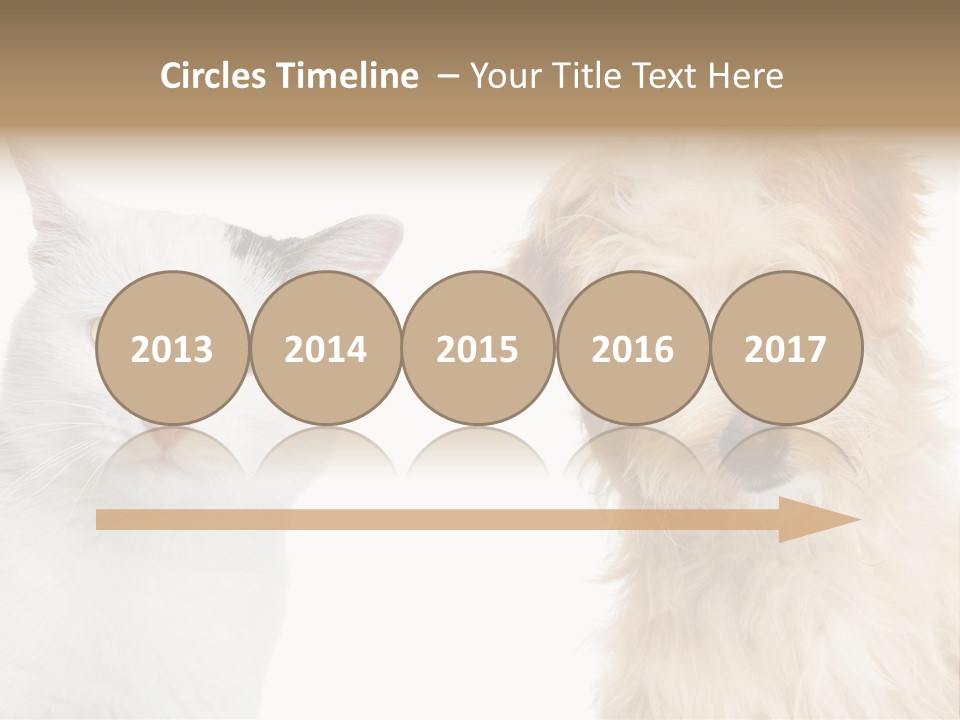 Feline Together Group PowerPoint Template