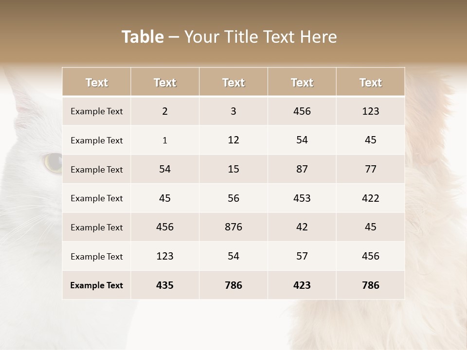 Feline Together Group PowerPoint Template