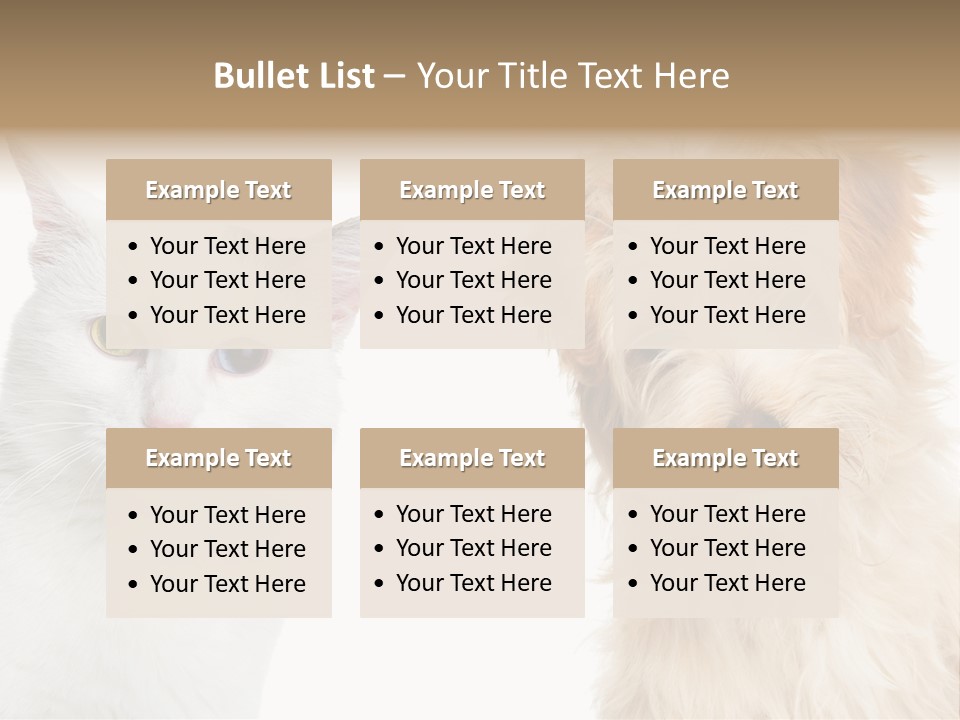 Feline Together Group PowerPoint Template