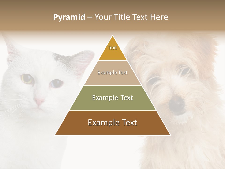 Feline Together Group PowerPoint Template