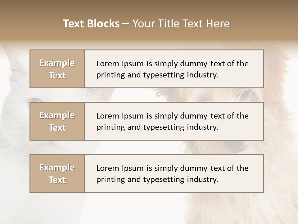 Feline Together Group PowerPoint Template