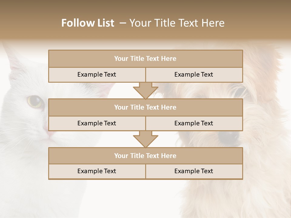 Feline Together Group PowerPoint Template