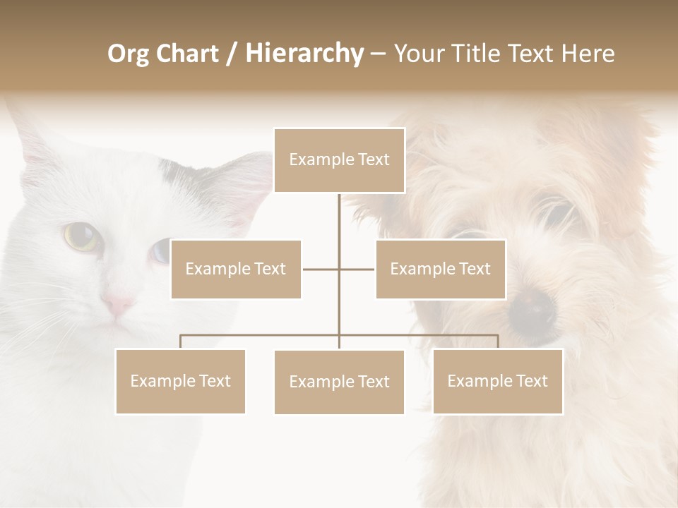 Feline Together Group PowerPoint Template