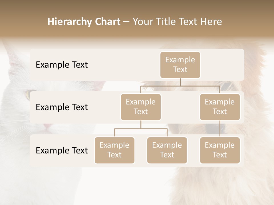 Feline Together Group PowerPoint Template