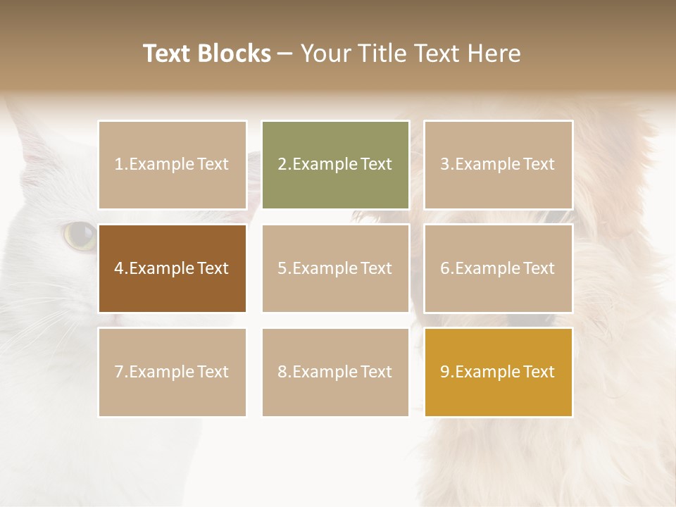 Feline Together Group PowerPoint Template