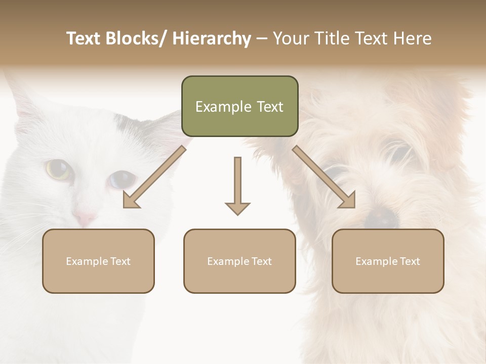 Feline Together Group PowerPoint Template