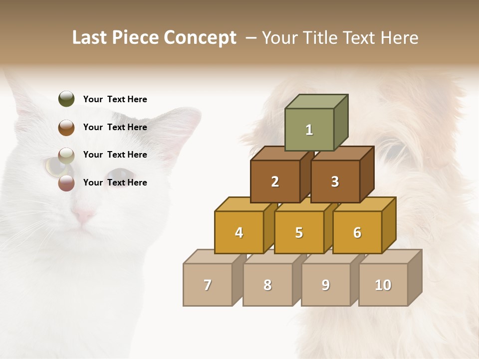 Feline Together Group PowerPoint Template