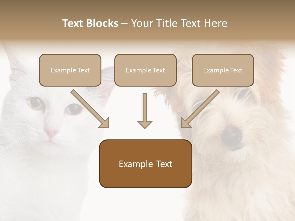 Feline Together Group PowerPoint Template