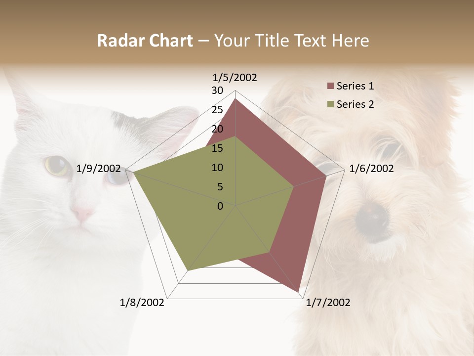 Feline Together Group PowerPoint Template