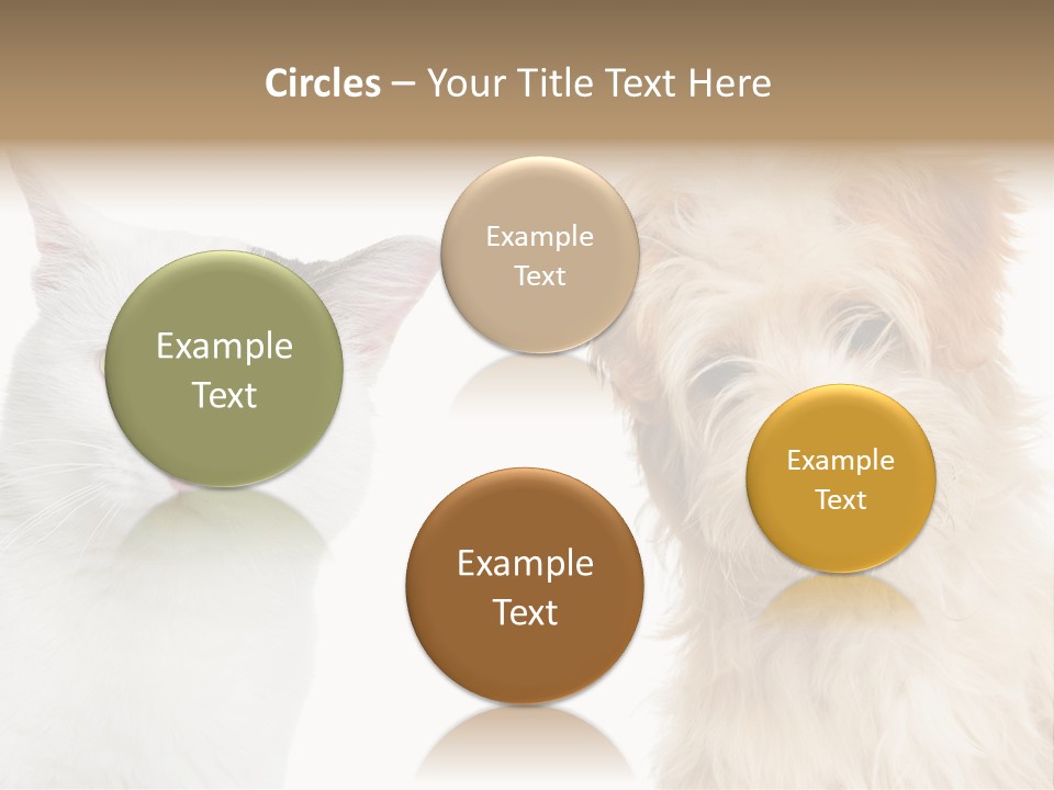 Feline Together Group PowerPoint Template