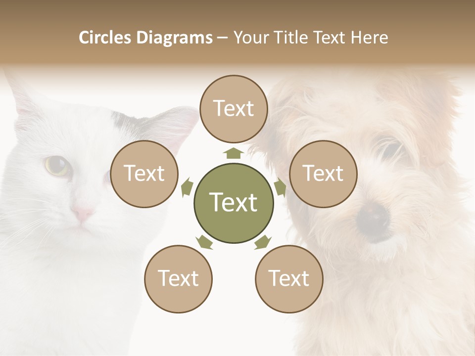 Feline Together Group PowerPoint Template