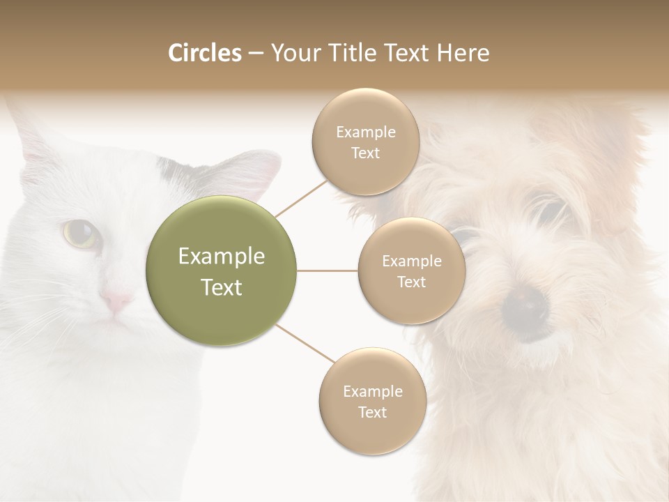 Feline Together Group PowerPoint Template