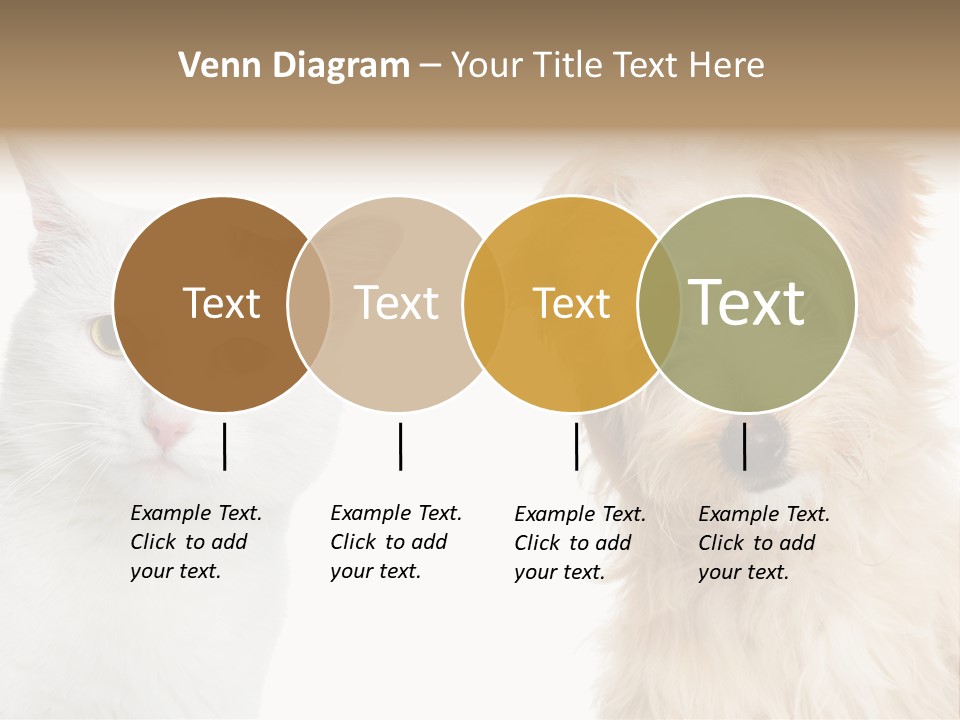 Feline Together Group PowerPoint Template