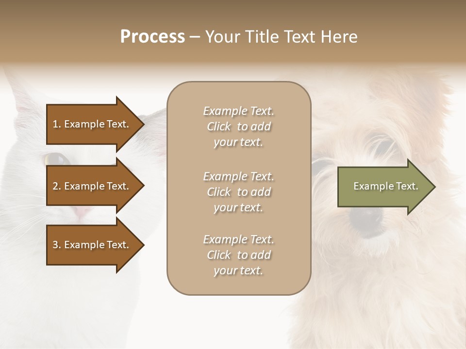 Feline Together Group PowerPoint Template