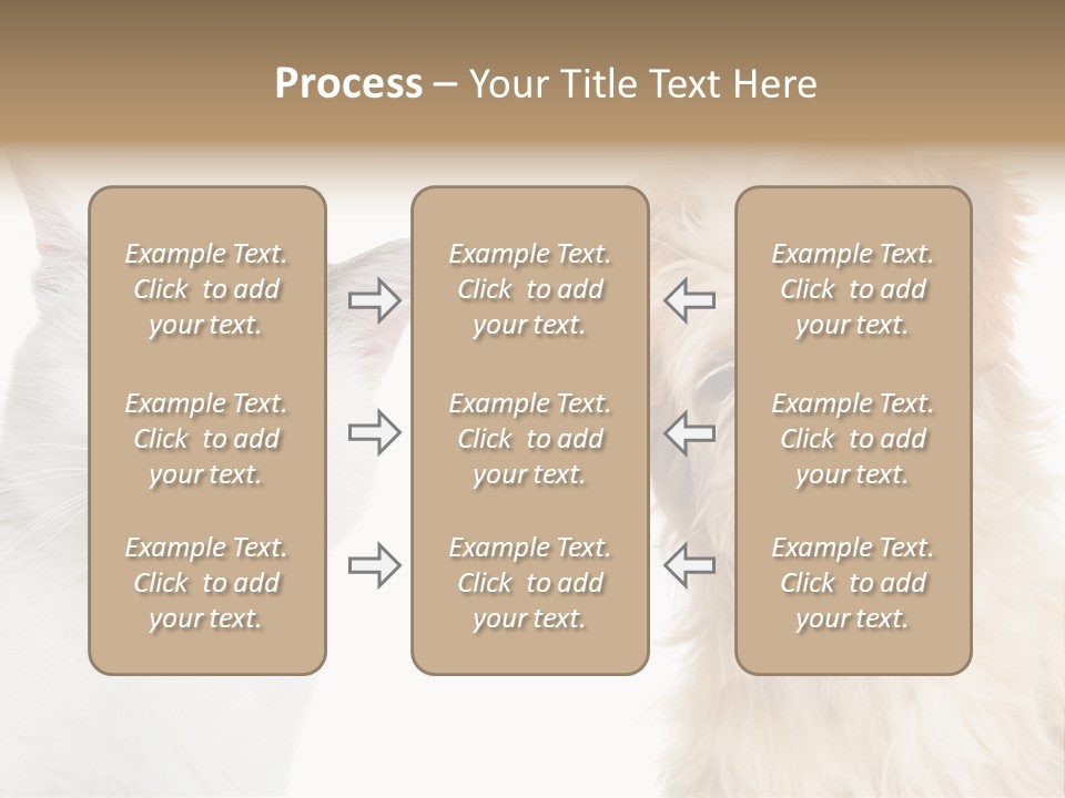 Feline Together Group PowerPoint Template