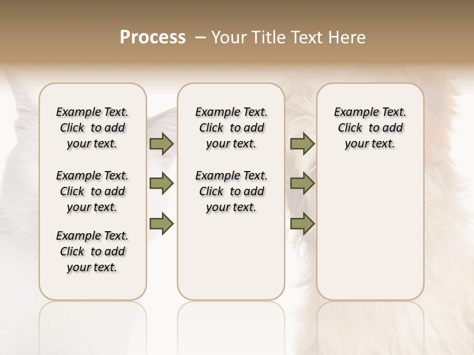 Feline Together Group PowerPoint Template