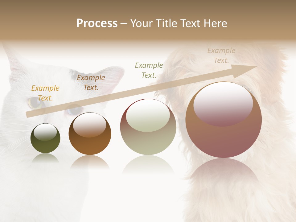 Feline Together Group PowerPoint Template