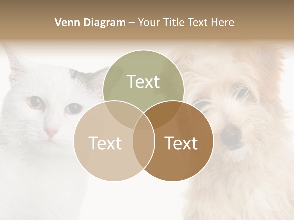 Feline Together Group PowerPoint Template