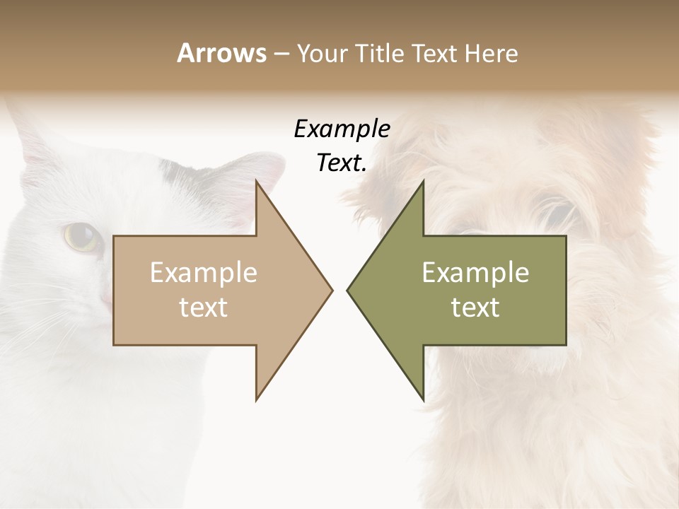 Feline Together Group PowerPoint Template