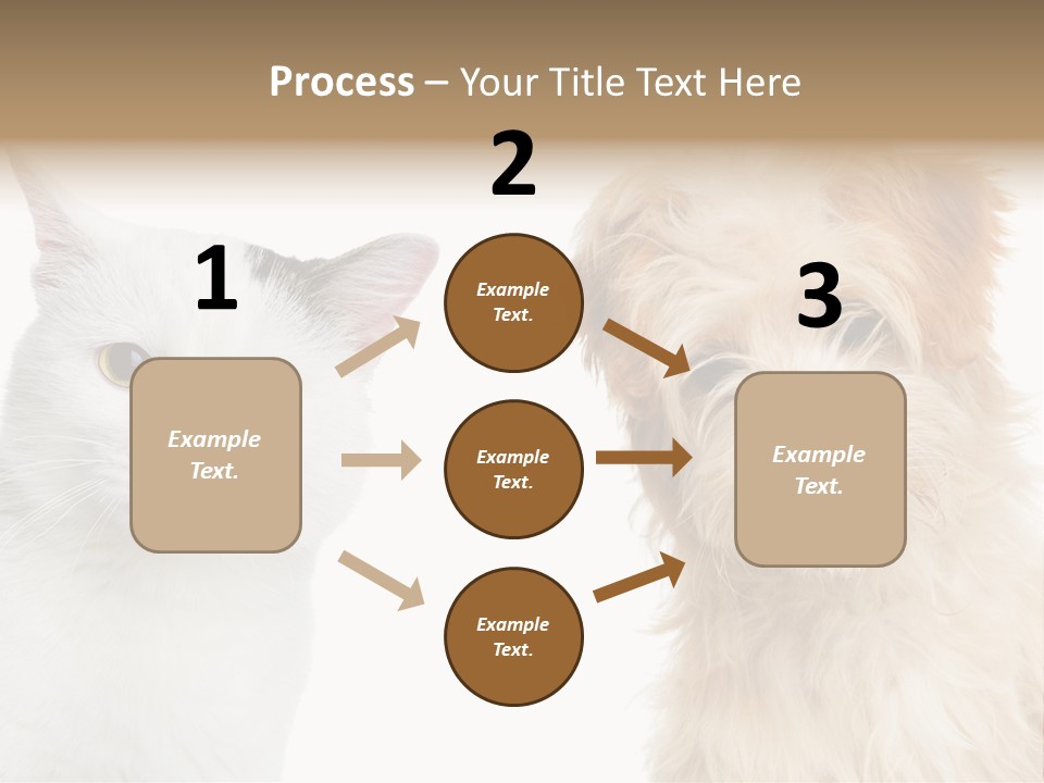Feline Together Group PowerPoint Template
