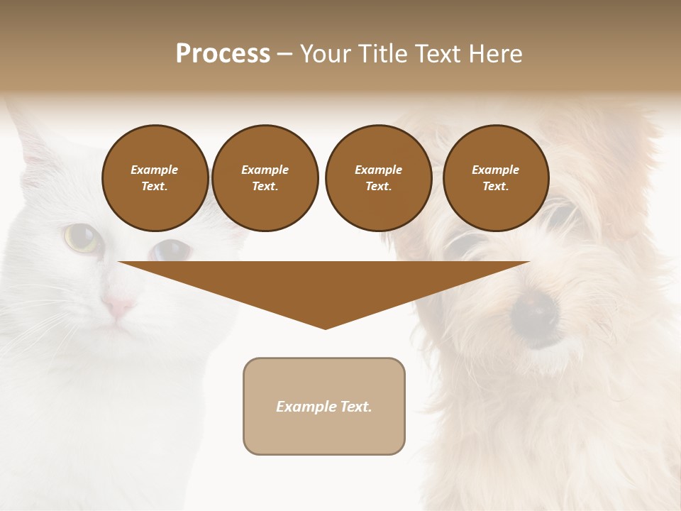 Feline Together Group PowerPoint Template