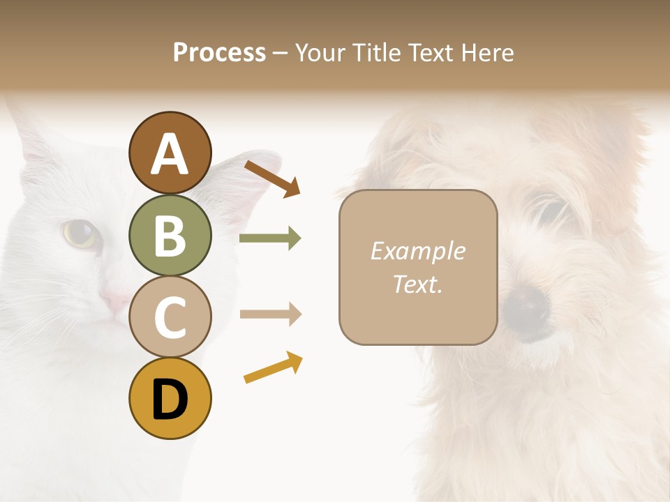 Feline Together Group PowerPoint Template