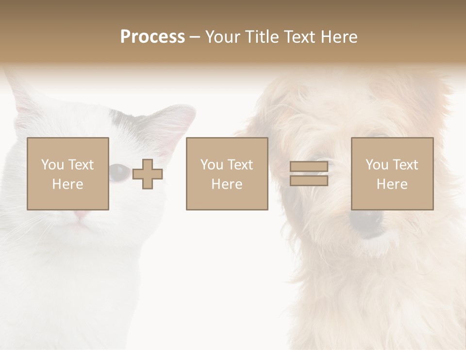 Feline Together Group PowerPoint Template