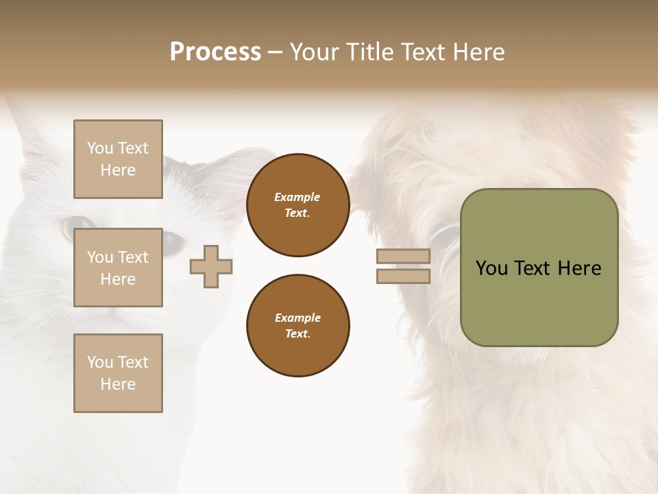 Feline Together Group PowerPoint Template