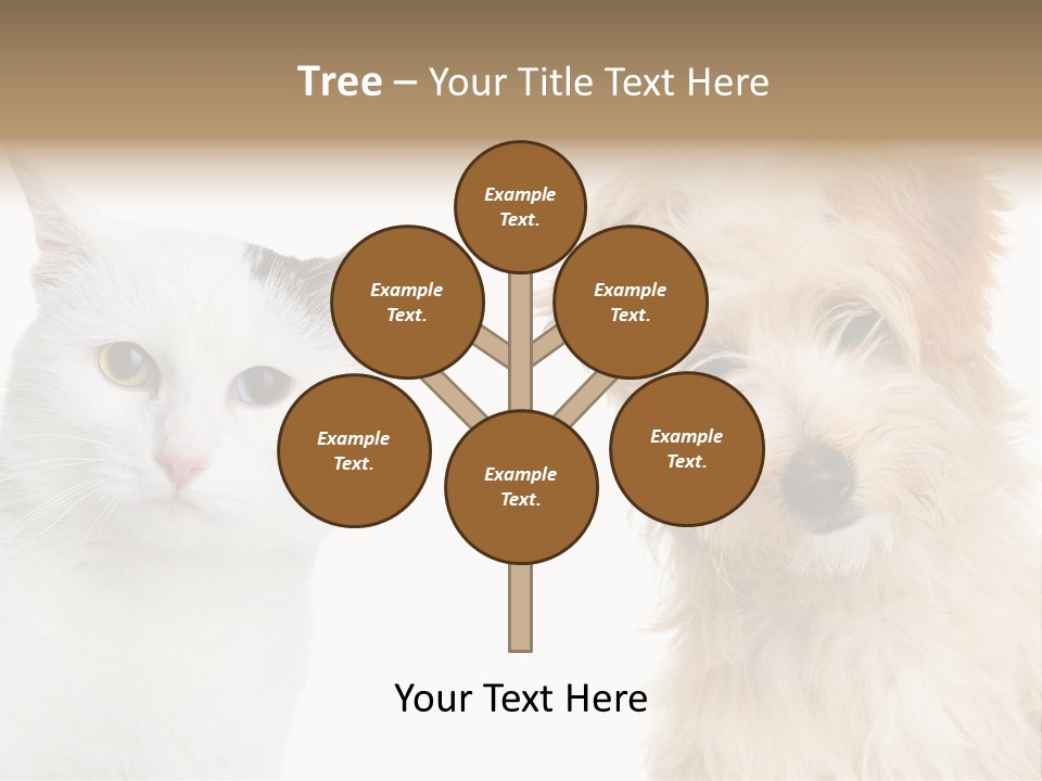 Feline Together Group PowerPoint Template