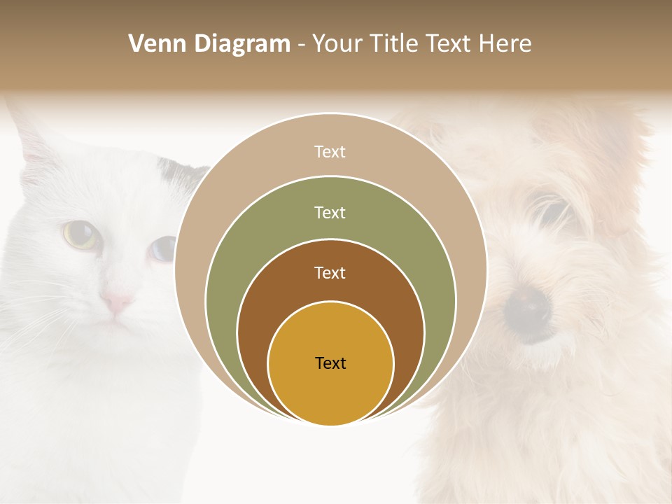 Feline Together Group PowerPoint Template