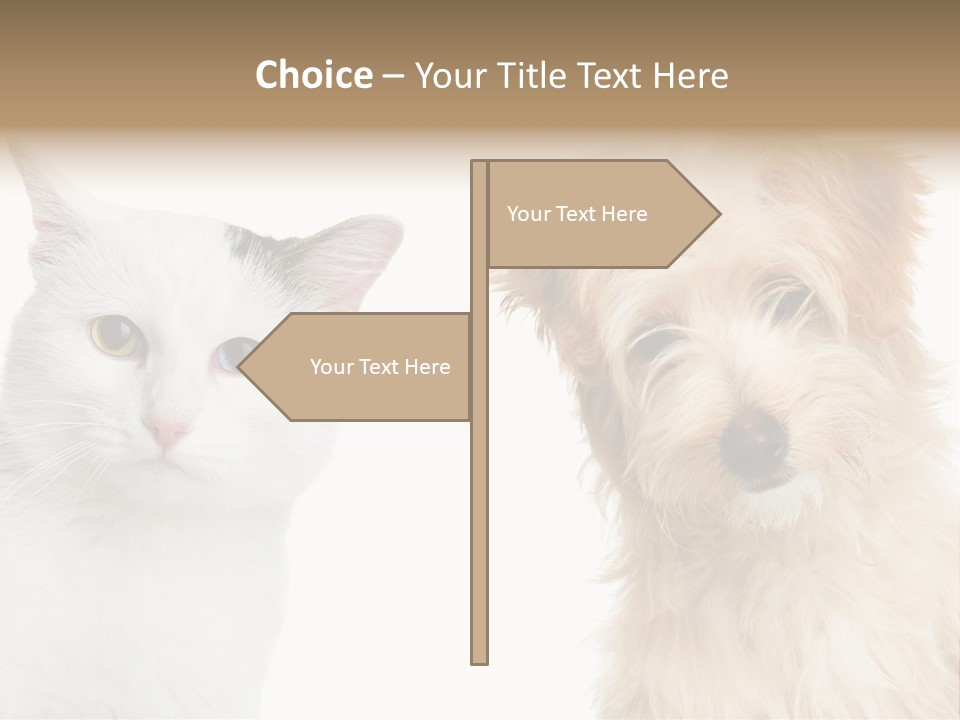 Feline Together Group PowerPoint Template