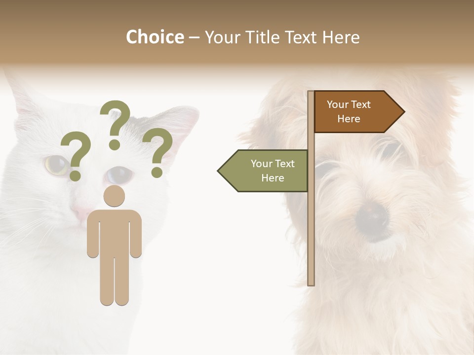 Feline Together Group PowerPoint Template