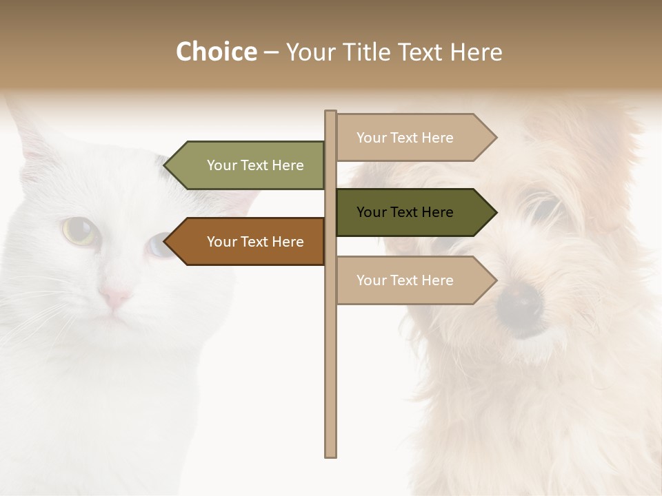 Feline Together Group PowerPoint Template