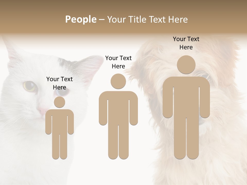 Feline Together Group PowerPoint Template