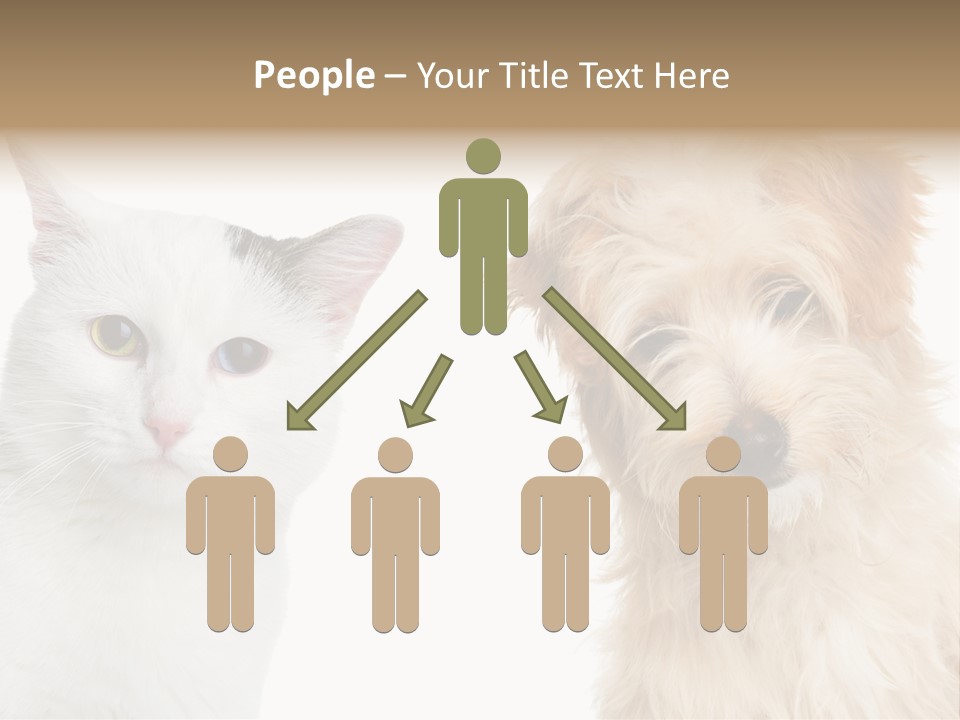 Feline Together Group PowerPoint Template