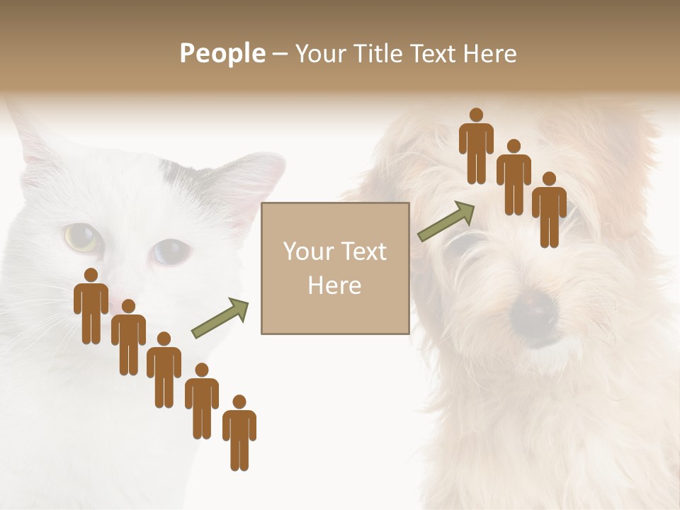 Feline Together Group PowerPoint Template