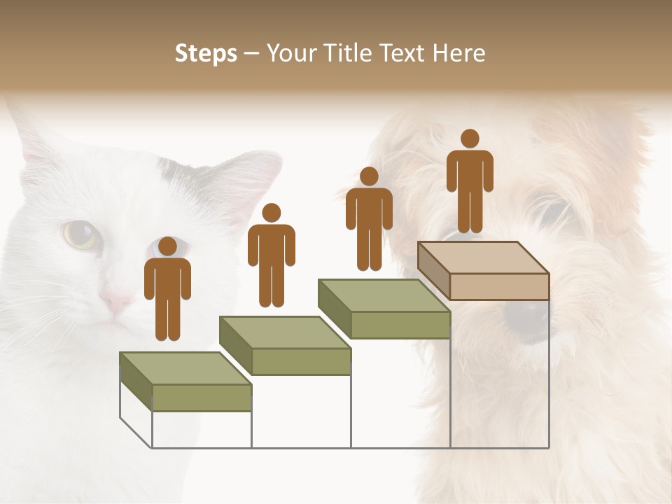 Feline Together Group PowerPoint Template