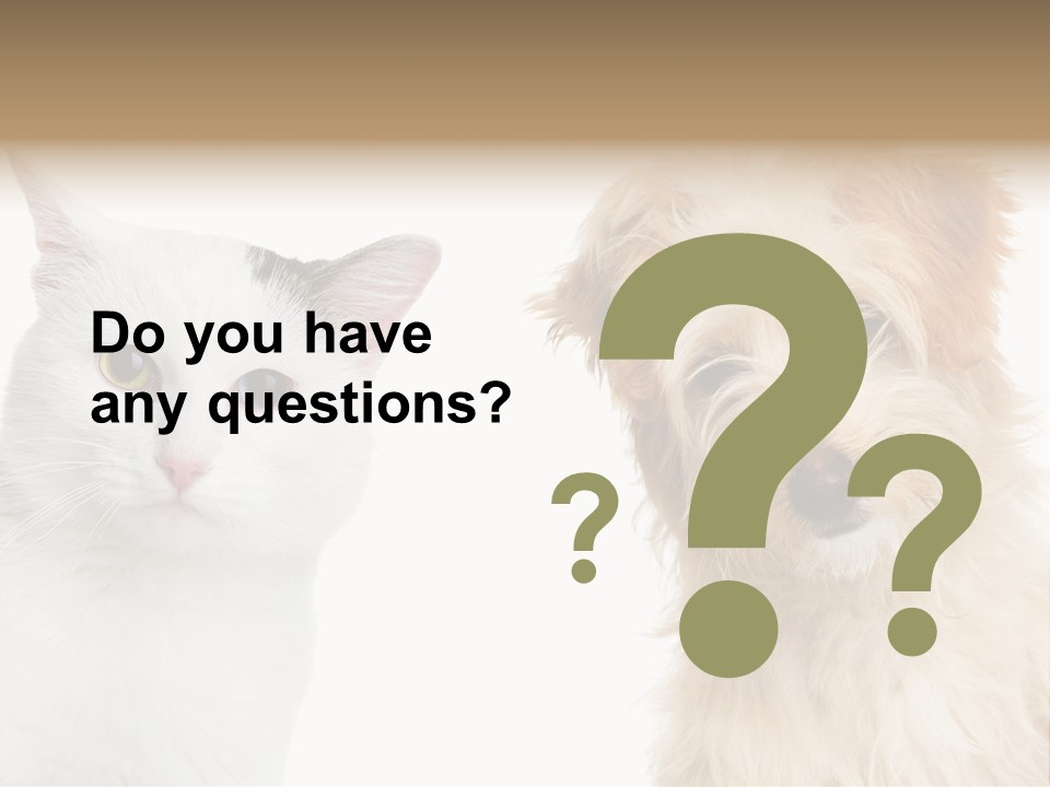 Feline Together Group PowerPoint Template