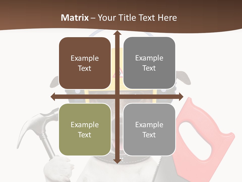 Animal Improvement Canine PowerPoint Template