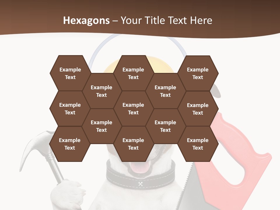 Animal Improvement Canine PowerPoint Template