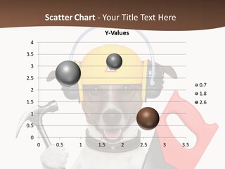 Animal Improvement Canine PowerPoint Template