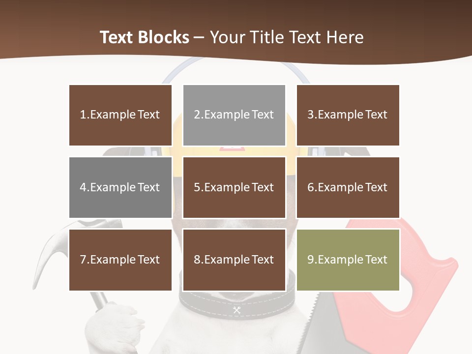 Animal Improvement Canine PowerPoint Template