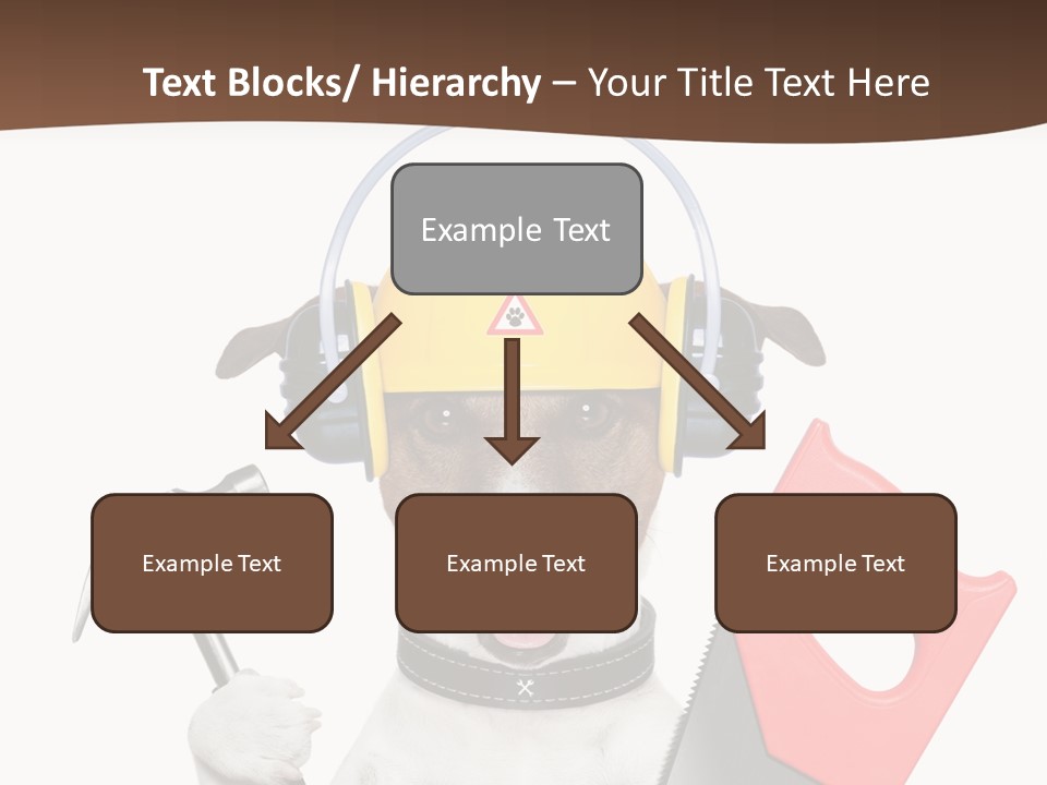 Animal Improvement Canine PowerPoint Template