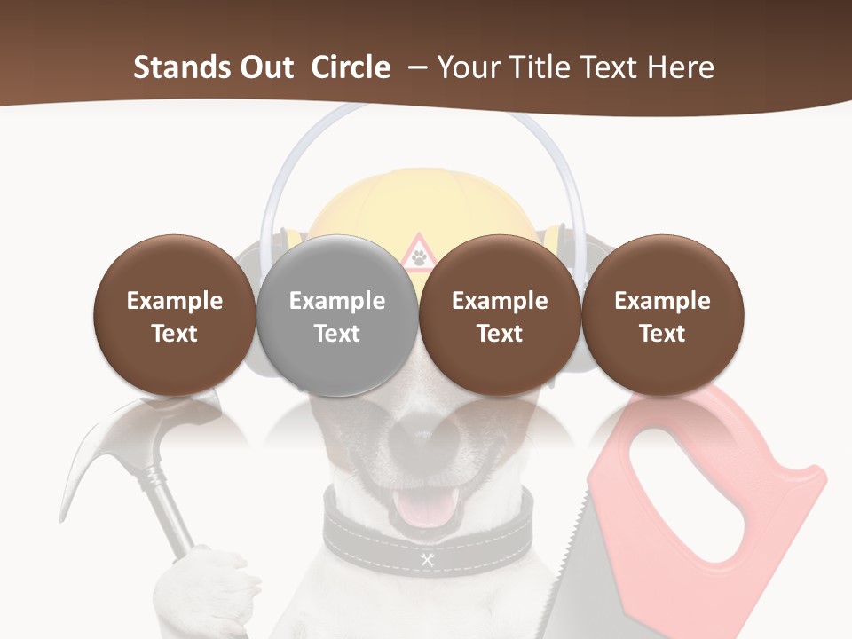 Animal Improvement Canine PowerPoint Template