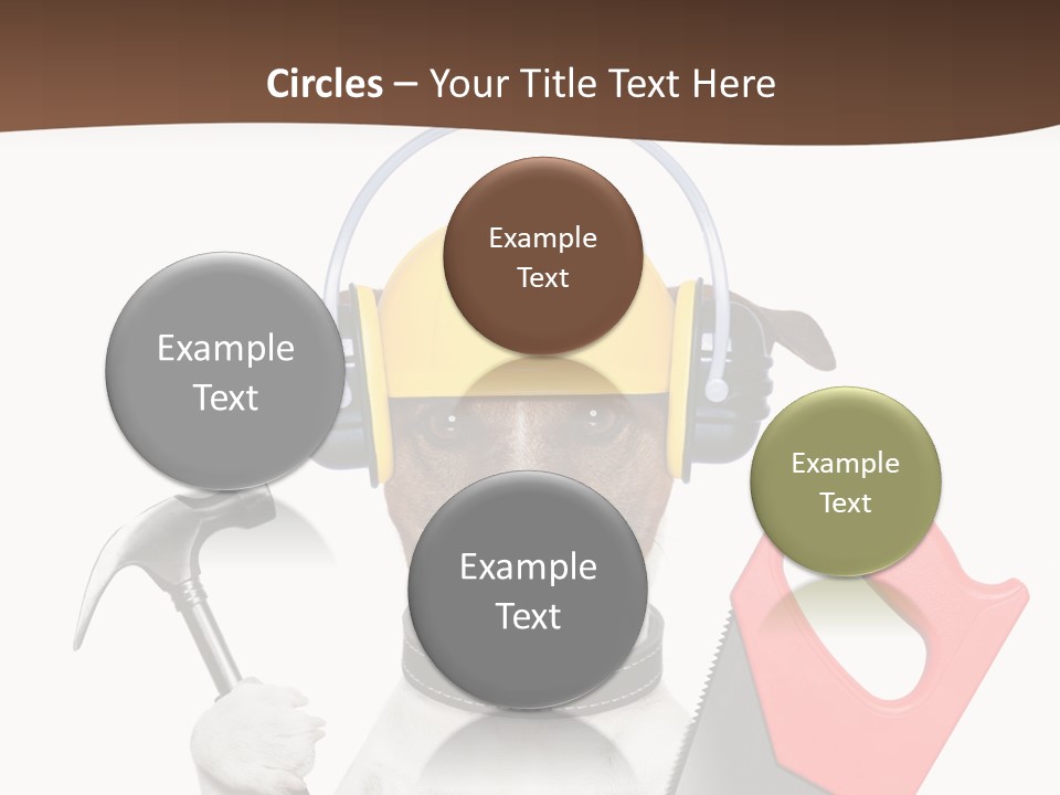 Animal Improvement Canine PowerPoint Template