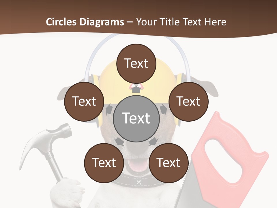 Animal Improvement Canine PowerPoint Template