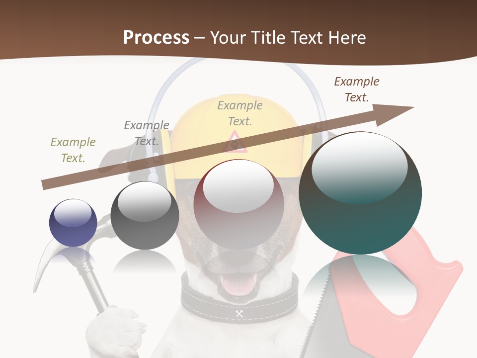 Animal Improvement Canine PowerPoint Template