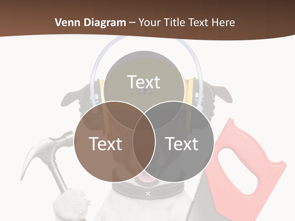 Animal Improvement Canine PowerPoint Template