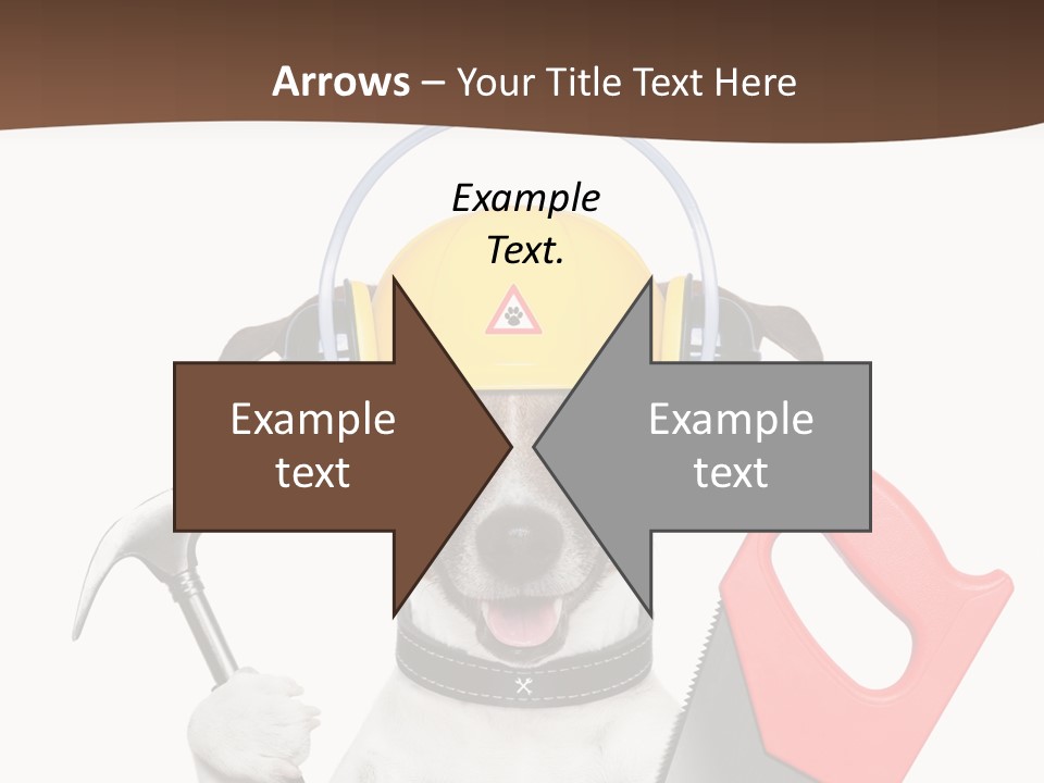 Animal Improvement Canine PowerPoint Template