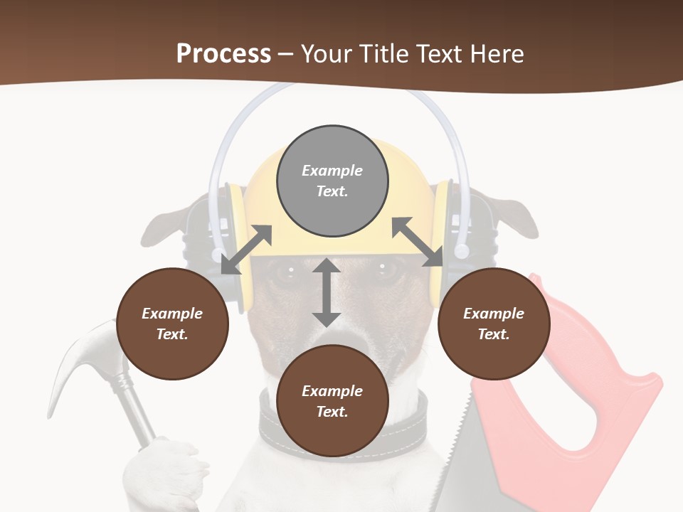 Animal Improvement Canine PowerPoint Template